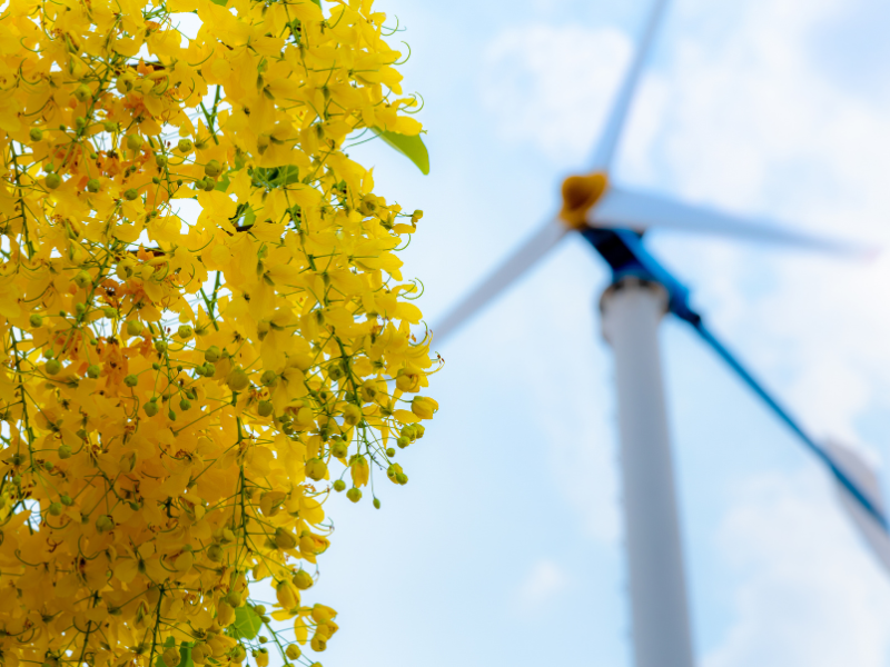 Why Transferable Credits Matter Before April 15th