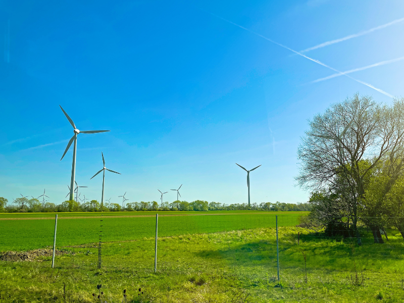 Tax & Cash Flow Strategy: A Tool Your High-Net-Worth Clients Are Missing